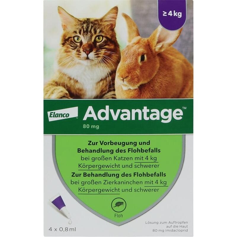 ADVANTAGE 80 mg f.gr.Katzen u.gr.Zierkaninchen